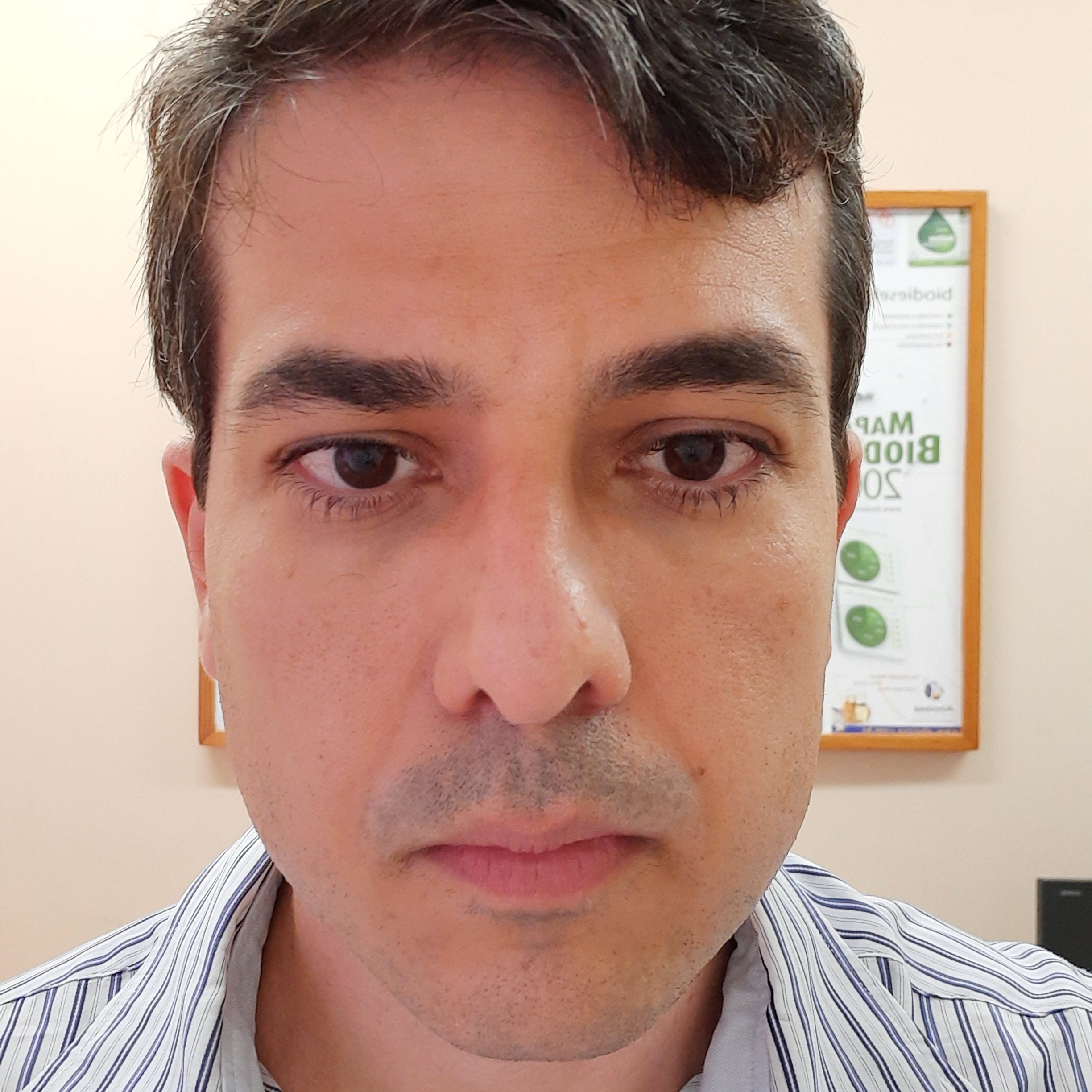 Bruno Prata